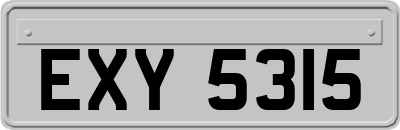 EXY5315