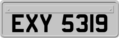 EXY5319