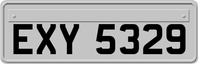 EXY5329