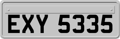 EXY5335
