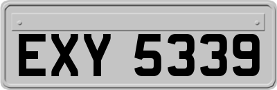 EXY5339