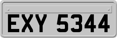 EXY5344