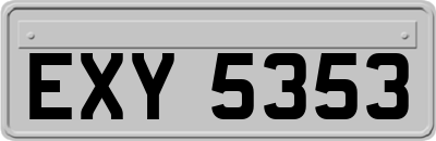 EXY5353