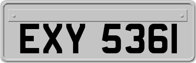 EXY5361