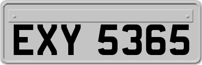 EXY5365