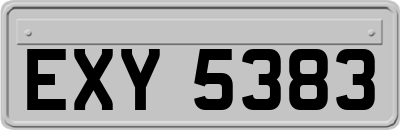 EXY5383
