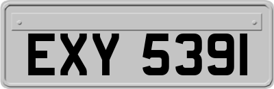 EXY5391