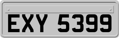 EXY5399