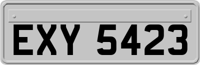 EXY5423