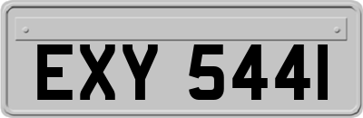 EXY5441