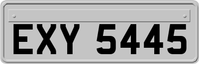 EXY5445