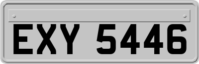 EXY5446