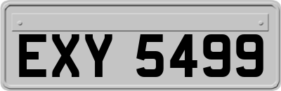 EXY5499