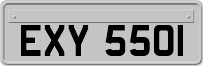 EXY5501