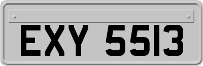 EXY5513
