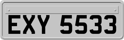 EXY5533