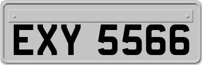 EXY5566