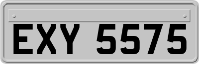 EXY5575
