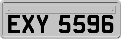 EXY5596