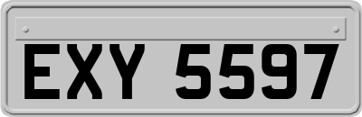 EXY5597