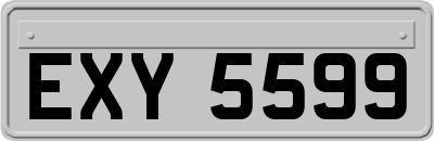 EXY5599