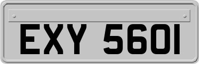 EXY5601