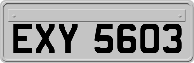 EXY5603