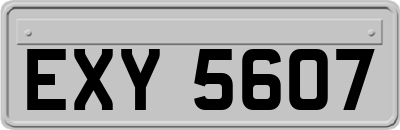 EXY5607