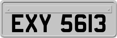 EXY5613