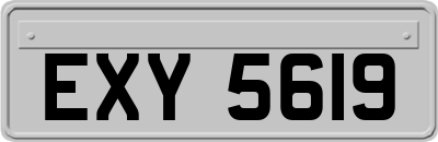 EXY5619