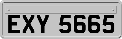 EXY5665