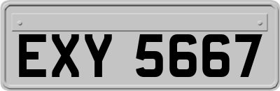 EXY5667