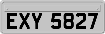 EXY5827
