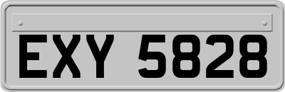 EXY5828
