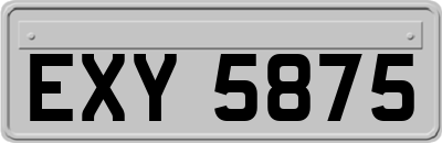EXY5875