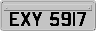 EXY5917