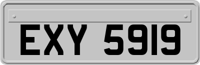 EXY5919
