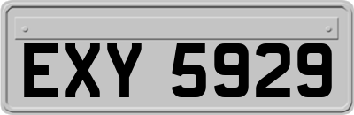 EXY5929
