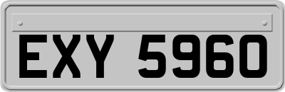 EXY5960