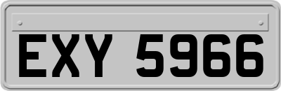 EXY5966