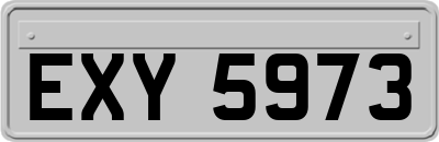EXY5973