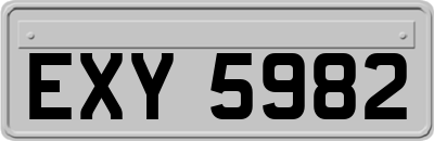 EXY5982