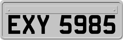 EXY5985