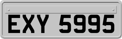 EXY5995