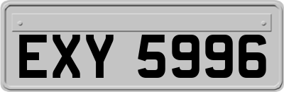 EXY5996