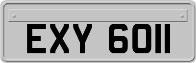 EXY6011