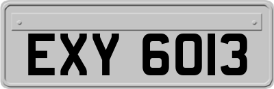 EXY6013