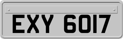 EXY6017