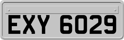 EXY6029