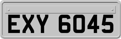 EXY6045